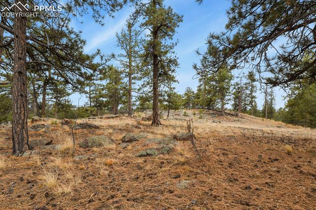 MLS Image for 957  Arapahoe  ,Florissant, Colorado