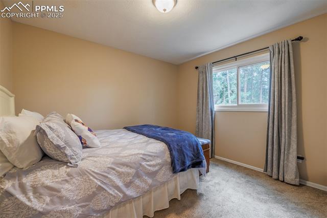MLS Image for 753  Edge Hill  ,Woodland Park, Colorado
