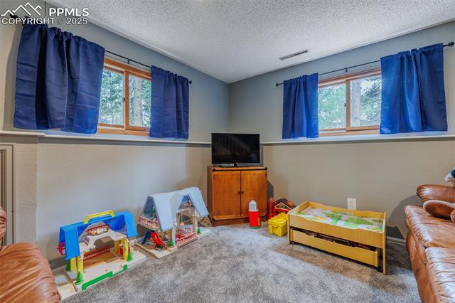 MLS Image for 753  Edge Hill  ,Woodland Park, Colorado