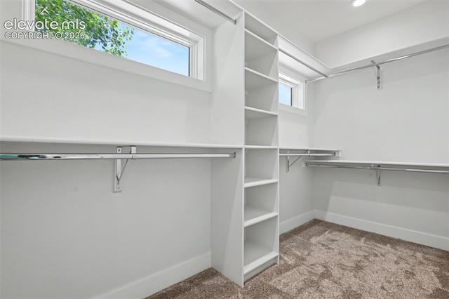 MLS Image for 280  Saber Creek  ,Monument, Colorado