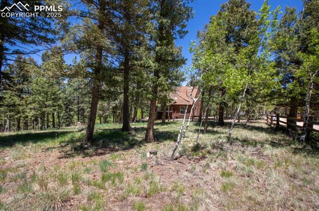 MLS Image for 699  Cottonwood Lake  ,Divide, Colorado