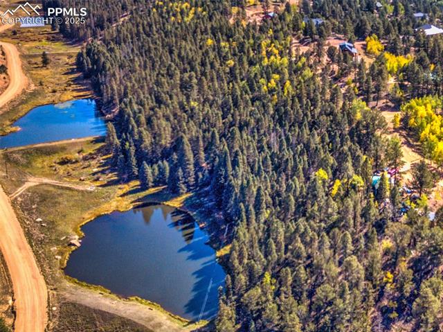 MLS Image for 699  Cottonwood Lake  ,Divide, Colorado