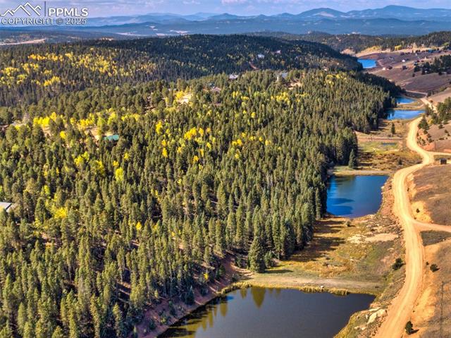 MLS Image for 699  Cottonwood Lake  ,Divide, Colorado