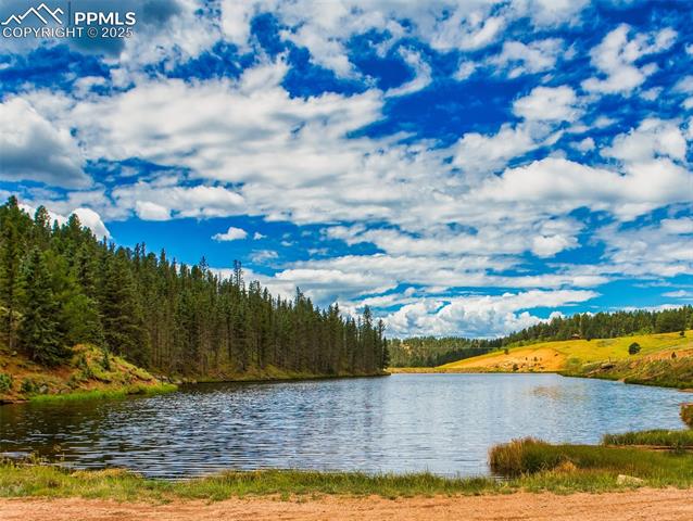 MLS Image for 699  Cottonwood Lake  ,Divide, Colorado