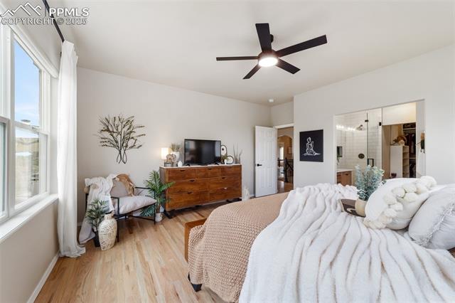 MLS Image for 6021  Revelstoke  ,Colorado Springs, Colorado
