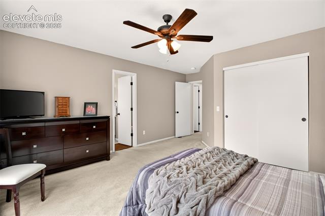 MLS Image for 7005  Isle Bay  ,Colorado Springs, Colorado