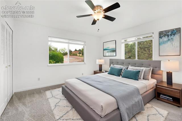 MLS Image for 104  Chamberlin  ,Colorado Springs, Colorado