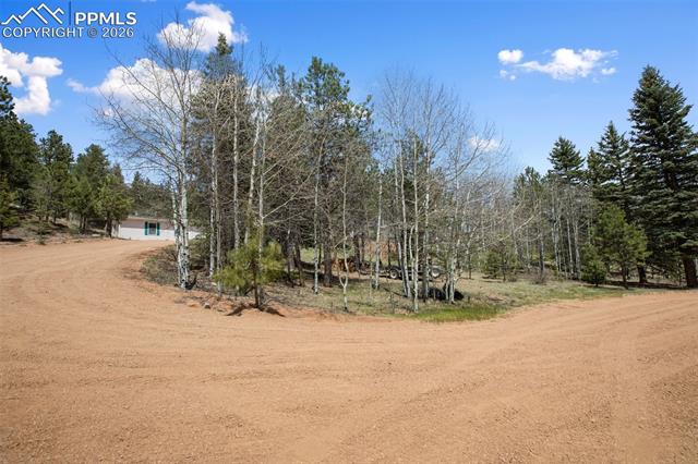 MLS Image for 1011 W Bison Creek  ,Divide, Colorado