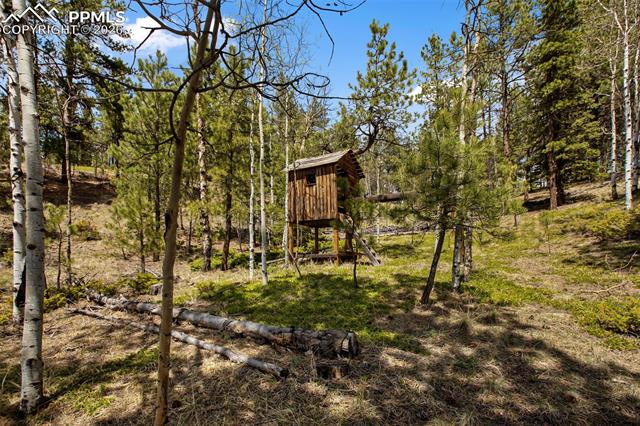 MLS Image for 1011 W Bison Creek  ,Divide, Colorado