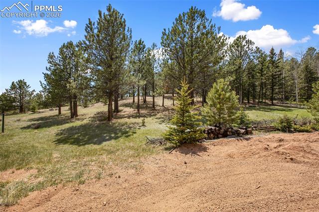 MLS Image for 1011 W Bison Creek  ,Divide, Colorado