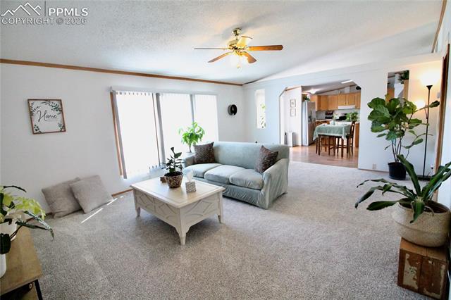 MLS Image for 9403  Summer Meadows  ,Colorado Springs, Colorado