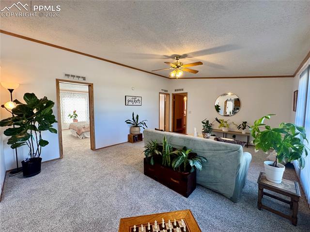 MLS Image for 9403  Summer Meadows  ,Colorado Springs, Colorado