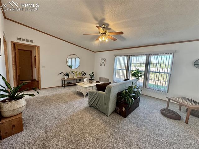 MLS Image for 9403  Summer Meadows  ,Colorado Springs, Colorado
