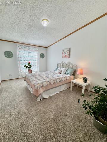 MLS Image for 9403  Summer Meadows  ,Colorado Springs, Colorado