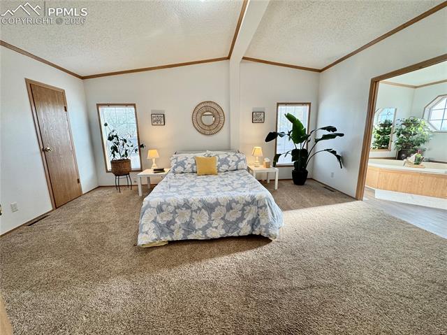 MLS Image for 9403  Summer Meadows  ,Colorado Springs, Colorado