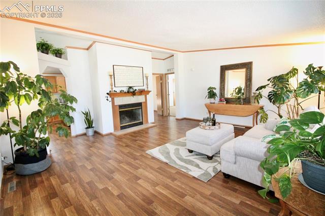 MLS Image for 9403  Summer Meadows  ,Colorado Springs, Colorado