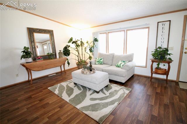 MLS Image for 9403  Summer Meadows  ,Colorado Springs, Colorado
