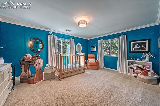 MLS Image for 1210  Kenosha  ,Larkspur, Colorado