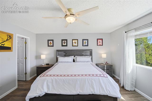MLS Image for 5210  Chaise  ,Colorado Springs, Colorado