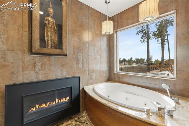 MLS Image for 10957  Silver Mountain  ,Colorado Springs, Colorado