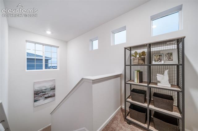 MLS Image for 5787  Bowerman  ,Colorado Springs, Colorado