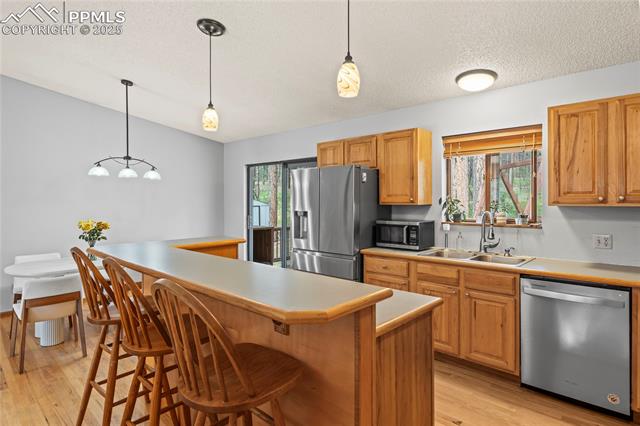 MLS Image for 15845  Roller Coaster  ,Colorado Springs, Colorado