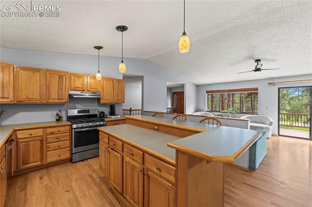 MLS Image for 15845  Roller Coaster  ,Colorado Springs, Colorado
