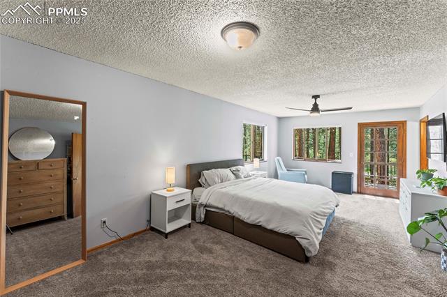 MLS Image for 15845  Roller Coaster  ,Colorado Springs, Colorado
