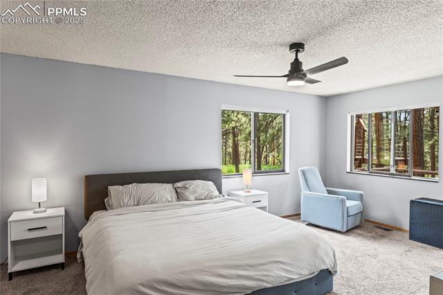 MLS Image for 15845  Roller Coaster  ,Colorado Springs, Colorado