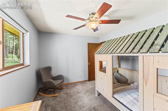 MLS Image for 15845  Roller Coaster  ,Colorado Springs, Colorado