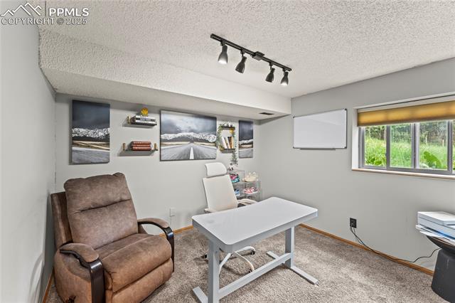 MLS Image for 15845  Roller Coaster  ,Colorado Springs, Colorado