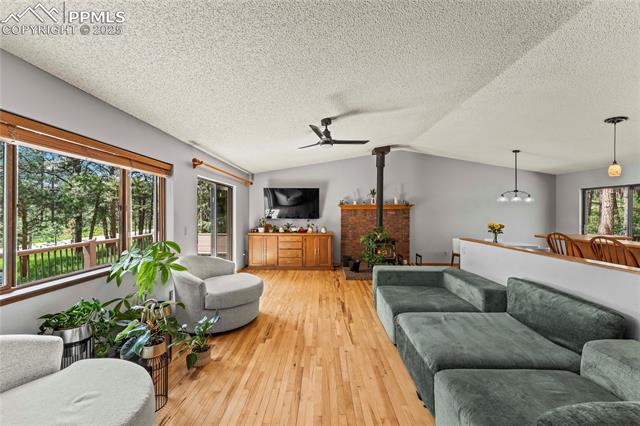 MLS Image for 15845  Roller Coaster  ,Colorado Springs, Colorado