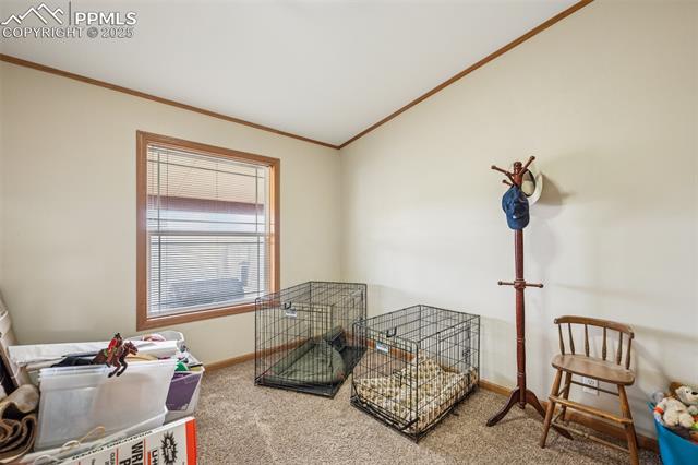 MLS Image for 25245 E Highway 24  ,Calhan, Colorado