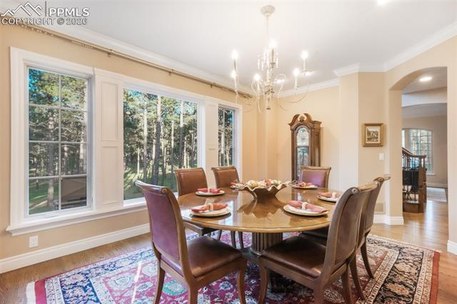 MLS Image for 16092  Waving Branch  ,Colorado Springs, Colorado