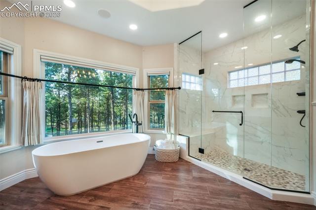 MLS Image for 16092  Waving Branch  ,Colorado Springs, Colorado