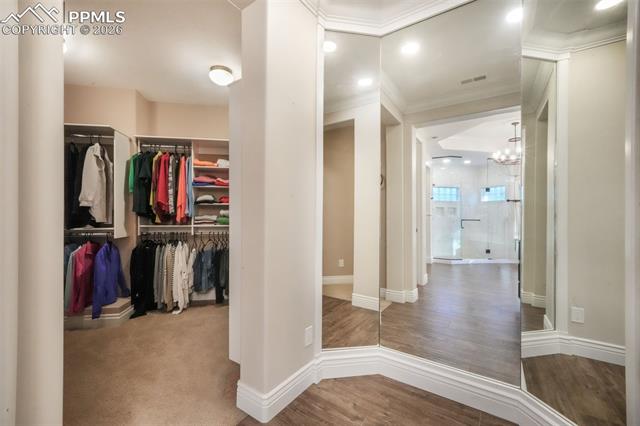 MLS Image for 16092  Waving Branch  ,Colorado Springs, Colorado