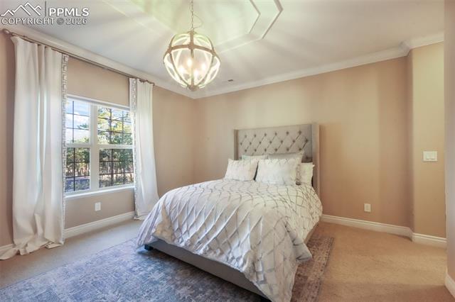 MLS Image for 16092  Waving Branch  ,Colorado Springs, Colorado