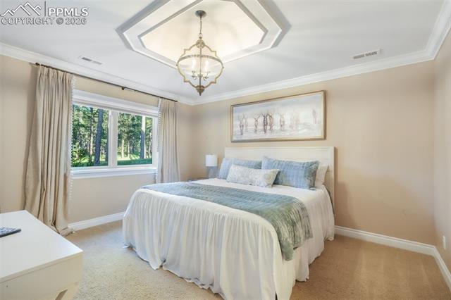 MLS Image for 16092  Waving Branch  ,Colorado Springs, Colorado