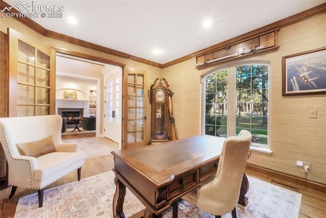 MLS Image for 16092  Waving Branch  ,Colorado Springs, Colorado