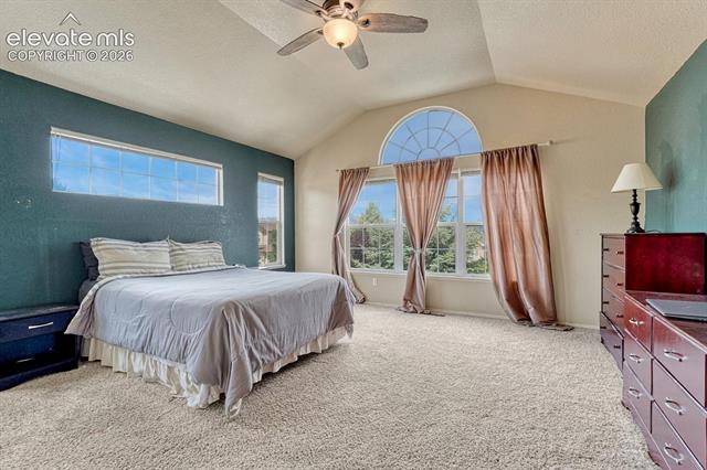 MLS Image for 5629  Whiskey River  ,Colorado Springs, Colorado