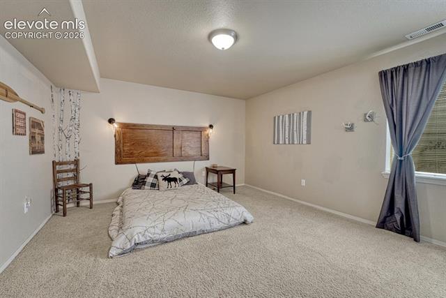 MLS Image for 5629  Whiskey River  ,Colorado Springs, Colorado