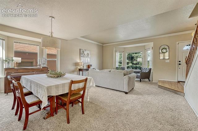 MLS Image for 5629  Whiskey River  ,Colorado Springs, Colorado