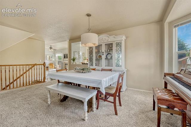 MLS Image for 5629  Whiskey River  ,Colorado Springs, Colorado