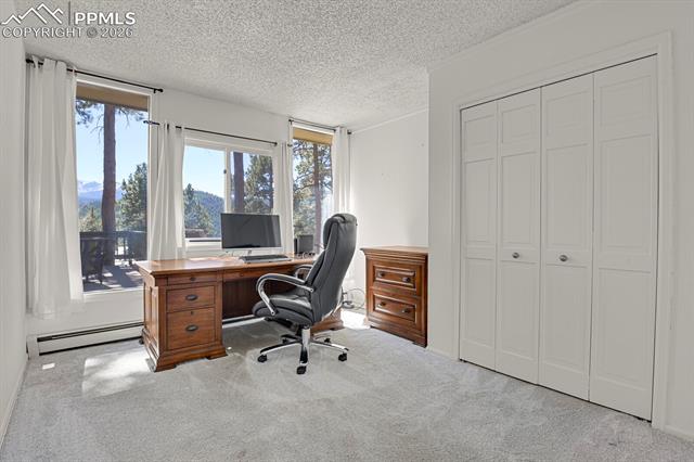 MLS Image for 240  Sun Ridge  ,Woodland Park, Colorado