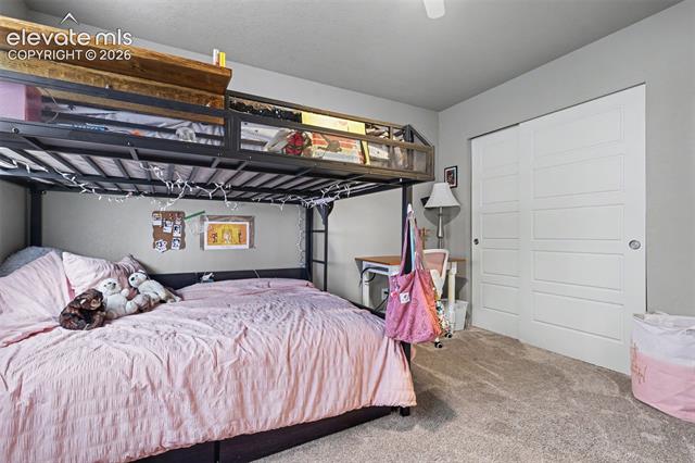 MLS Image for 7026  Silvergrass  ,Colorado Springs, Colorado