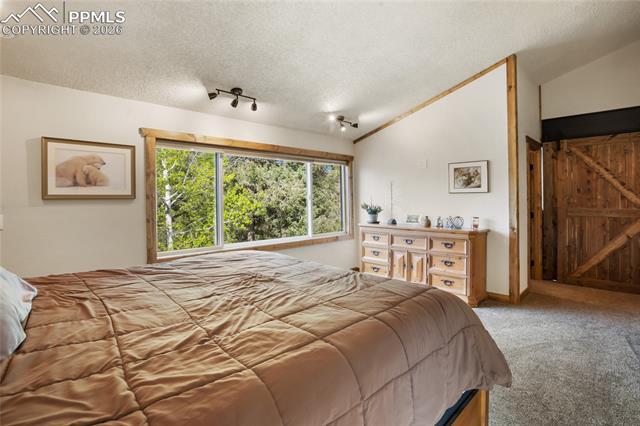 MLS Image for 45  Barr Lake  ,Divide, Colorado