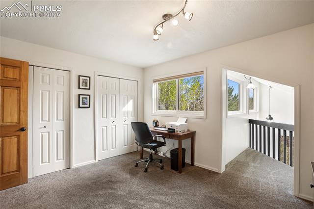 MLS Image for 45  Barr Lake  ,Divide, Colorado