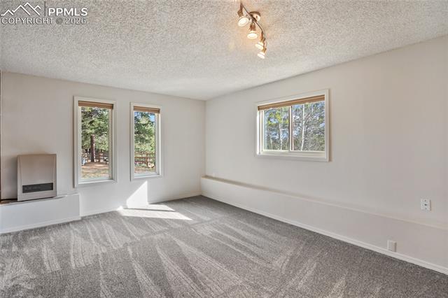 MLS Image for 45  Barr Lake  ,Divide, Colorado