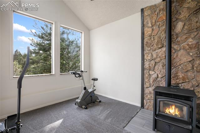MLS Image for 45  Barr Lake  ,Divide, Colorado