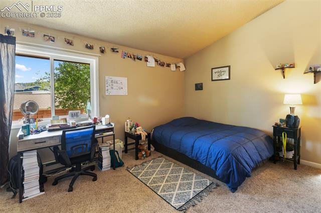 MLS Image for 401  Forest Edge  B2 ,Woodland Park, Colorado